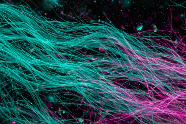 Nikon Strips Top Prize From Microscopy Winner Over AI-Generated Footage Microscopic cilia glowing under a microscope